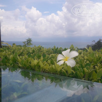 фото из отзыва ID 1797948