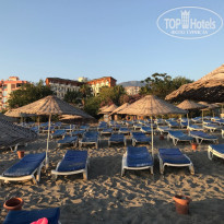 фото из отзыва ID 1797961