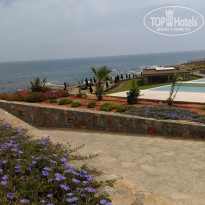 фото из отзыва ID 1797965