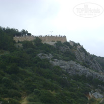 фото из отзыва ID 1798056