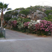 фото из отзыва ID 1798056