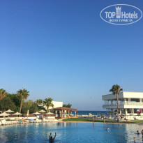 фото из отзыва ID 1798081