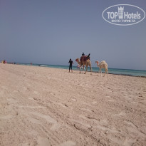 фото из отзыва ID 1798153