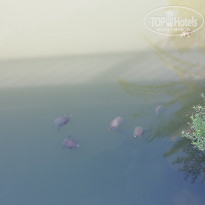 фото из отзыва ID 1798215