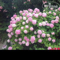 фото из отзыва ID 1798294