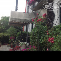 фото из отзыва ID 1798294