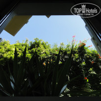 фото из отзыва ID 1798315