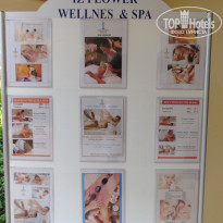 фото из отзыва ID 1798315