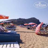 фото из отзыва ID 1798304