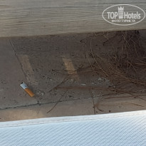 фото из отзыва ID 1797568