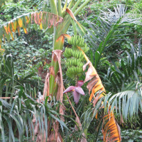 фото из отзыва ID 1798429