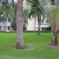 фото из отзыва ID 1798429