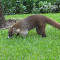 фото из отзыва ID 1798429