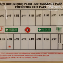 фото из отзыва ID 1798445