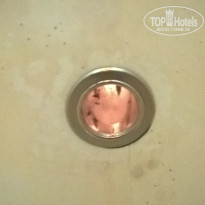 фото из отзыва ID 1798454