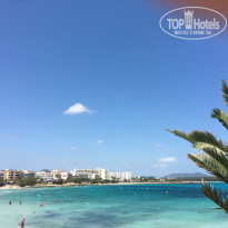 фото из отзыва ID 1798600