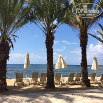 фото из отзыва ID 1798676