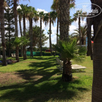 фото из отзыва ID 1798676