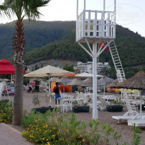 фото из отзыва ID 1798880