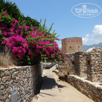 фото из отзыва ID 1799028