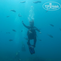 фото из отзыва ID 1799034