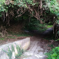 фото из отзыва ID 1799104