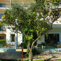 фото из отзыва ID 1799178