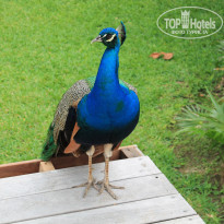 фото из отзыва ID 1799463