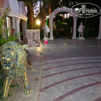 фото из отзыва ID 1799732