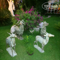 фото из отзыва ID 1799732