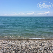 фото из отзыва ID 1795834