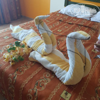 фото из отзыва ID 1799686