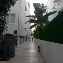 фото из отзыва ID 1799856