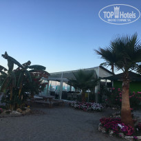 фото из отзыва ID 1793918