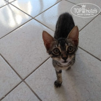 фото из отзыва ID 1799958