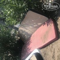 фото из отзыва ID 1798289