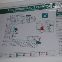 фото из отзыва ID 1795829