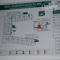 фото из отзыва ID 1795829