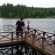 Тапиола
