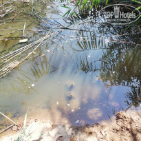 фото из отзыва ID 1794140