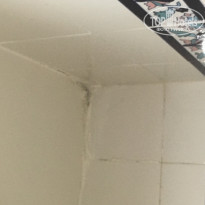 фото из отзыва ID 1797716