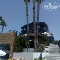 фото из отзыва ID 1799151