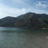 фото из отзыва ID 1794392