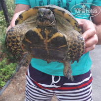 фото из отзыва ID 1794392