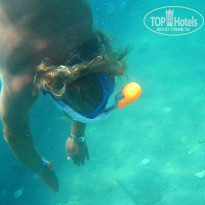 фото из отзыва ID 1799907