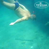 фото из отзыва ID 1799907