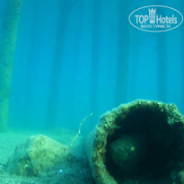 фото из отзыва ID 1799907