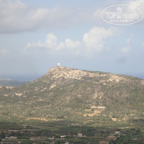 фото из отзыва ID 1799307