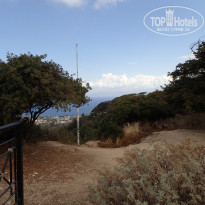 фото из отзыва ID 1799307