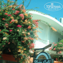 фото из отзыва ID 1799307